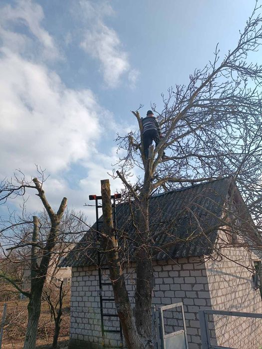 Покос травы, уборка территории, спил деревьев,работаем с ОСББ.