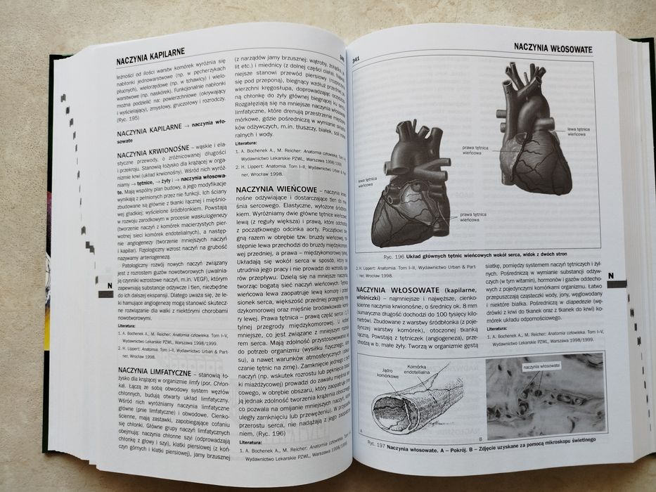 Encyklopedia Biologia