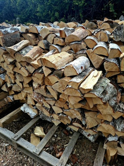 Drewno kominkowe opałowe na każdą kieszeń transport
