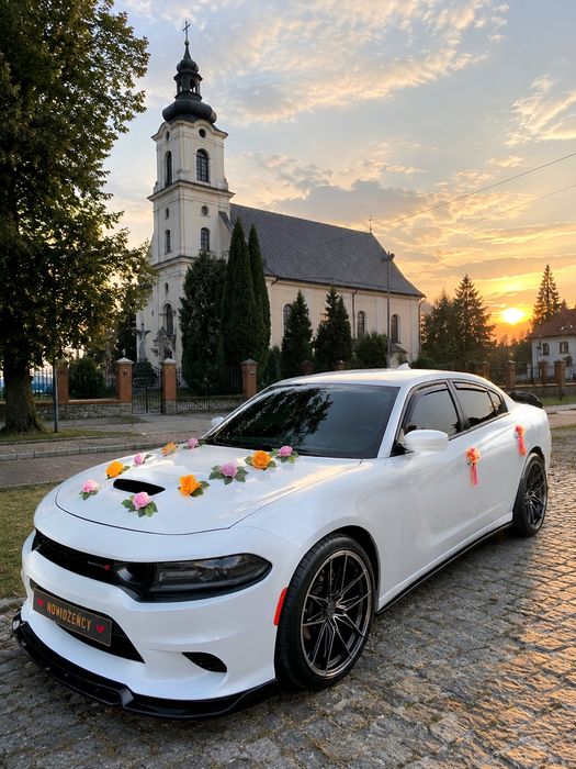 Auto do Ślubu Dodge Charger AmCar Wedding Samochód do ślubu na wesele