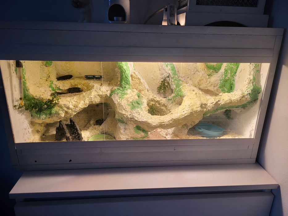 Terrarium samorobne