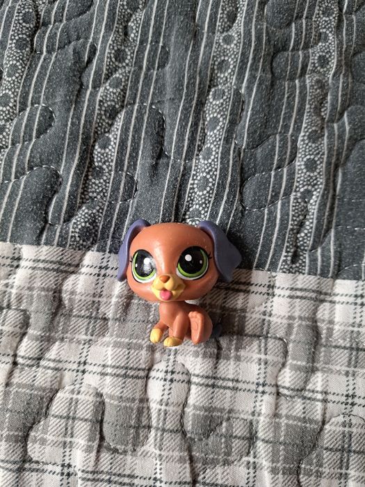 Lps piesek littlest pet shop