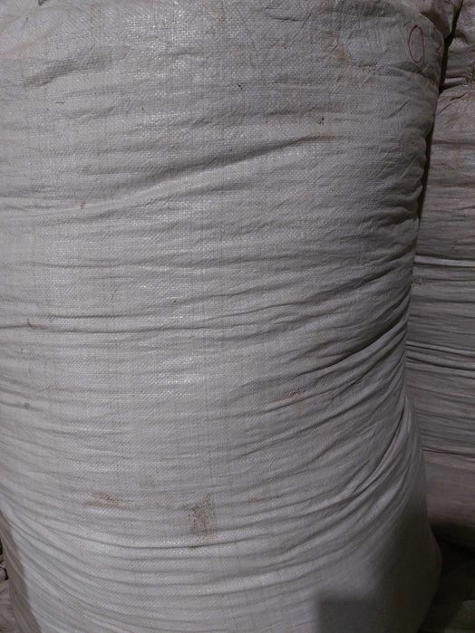 Продам Елітне насіння Гороху