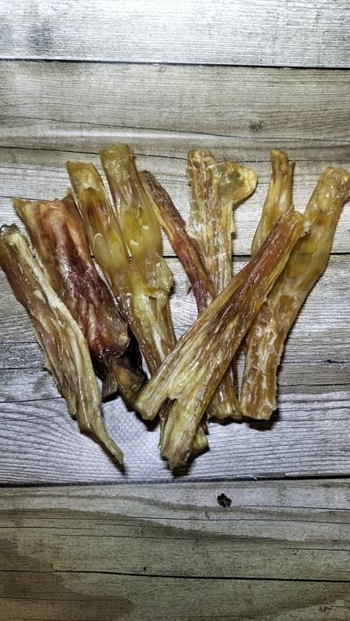 Жила ахілесова( путова)