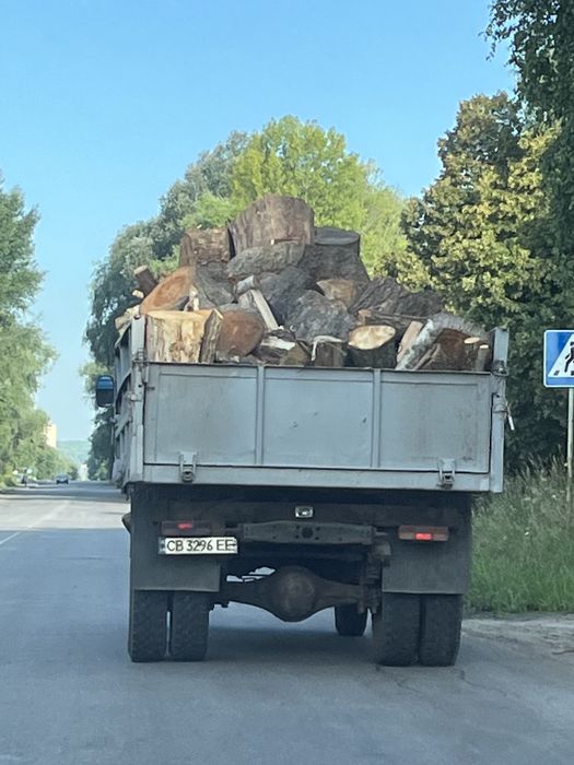 Продам дрова колоті дуб акація сосна береза торфобрикет