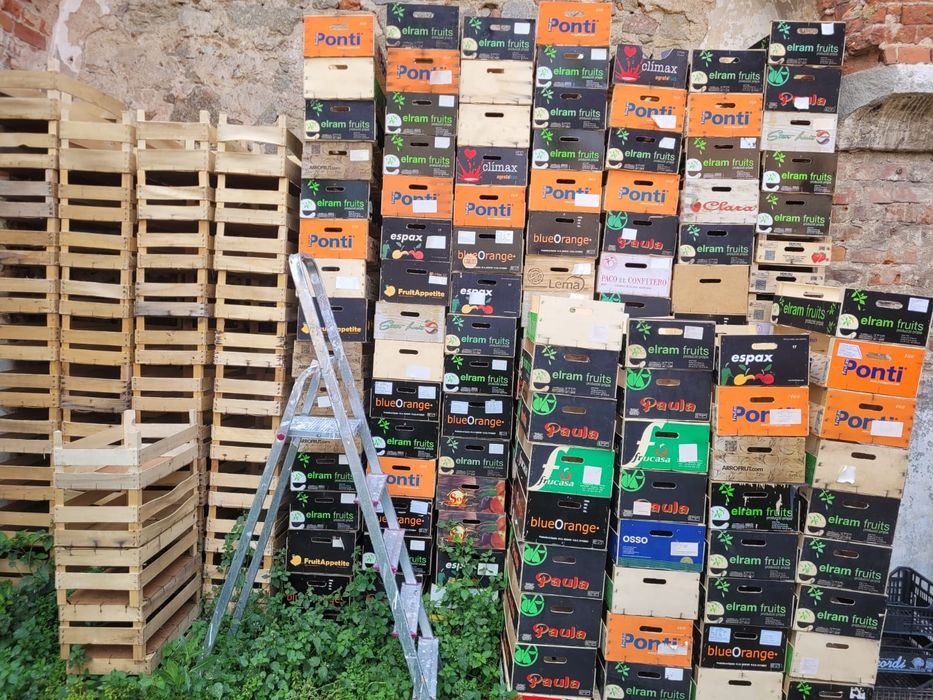 Skrzynki plastikowe, drewnianie