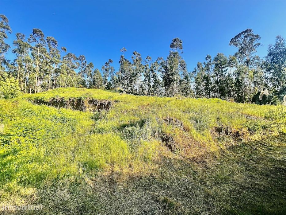 Terreno  Venda em Sobrado e Bairros,Castelo de Paiva