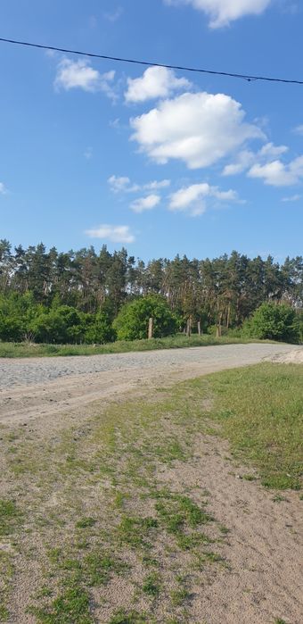 Ділянка 18,5 сот поруч з лісом, пилорама, госп.будівлі,с. Сінгури