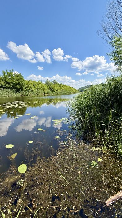 Продаж ділянки 1 + га , р. Дніпро, с. Балико Щучинка, Обухівський район