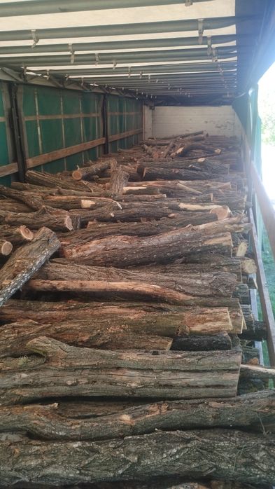 Дрова от 1100 твердых и мягких  пород