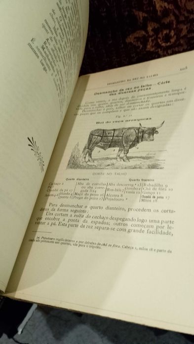 A Carne na Alimentação 1908 F. Motta D´Almeida