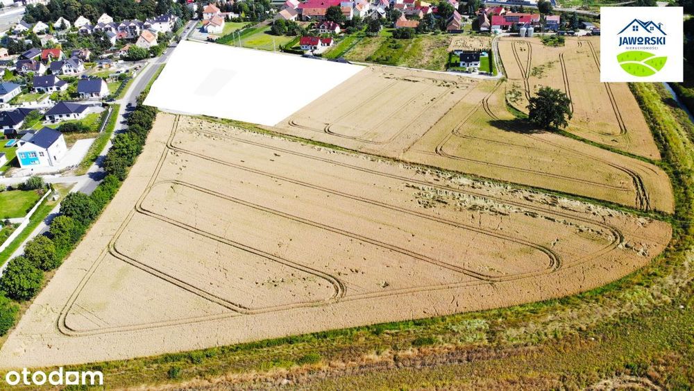 Promocja - dotyczy tylko jednej działki