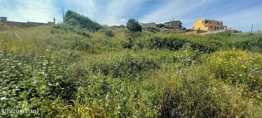 Terreno Rustico com 643 m2 — Castelo Branco, Castelo Branco