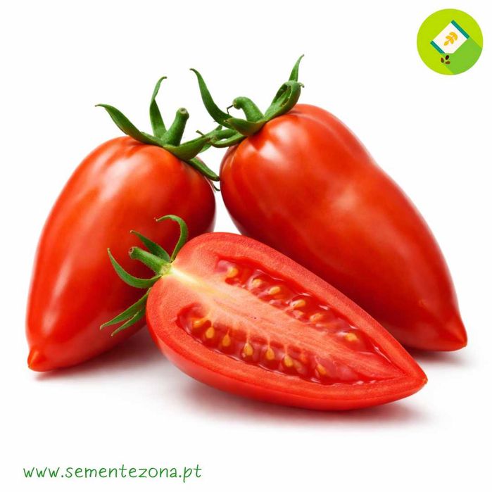 10 Sementes de Tomate Cornue des Andes