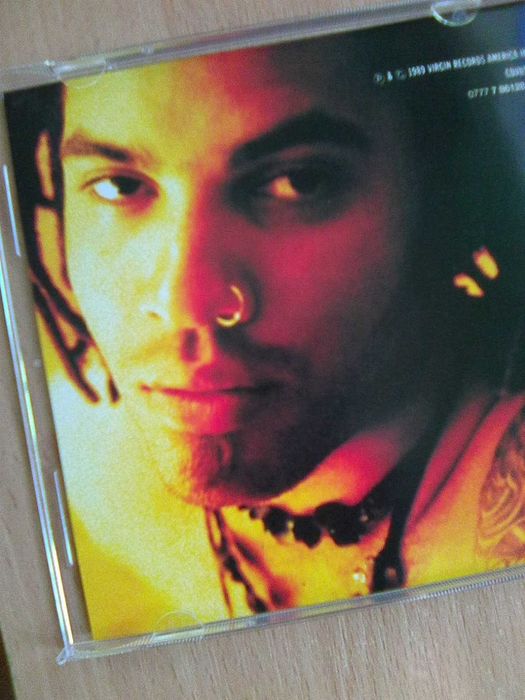 Lenny Kravitz – Let Love Rule