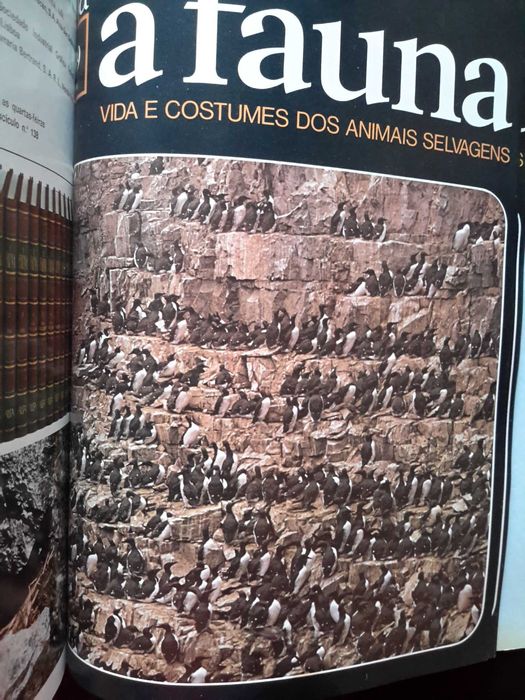 A Fauna - Vida e Costumes dos Animais Selvagens (capas)
