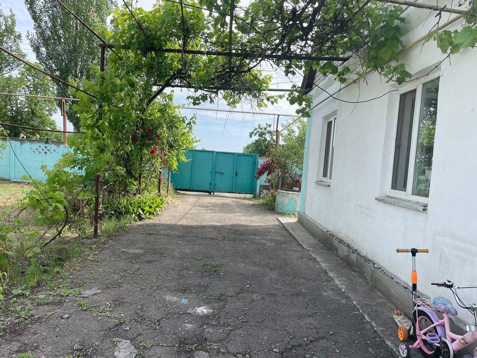 Продам Терміново! будинок Шевченково Миколаївська область