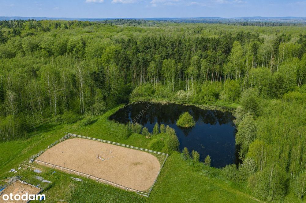 1,65 HA | Staw | Konie | Potencjał inwestycyjny |