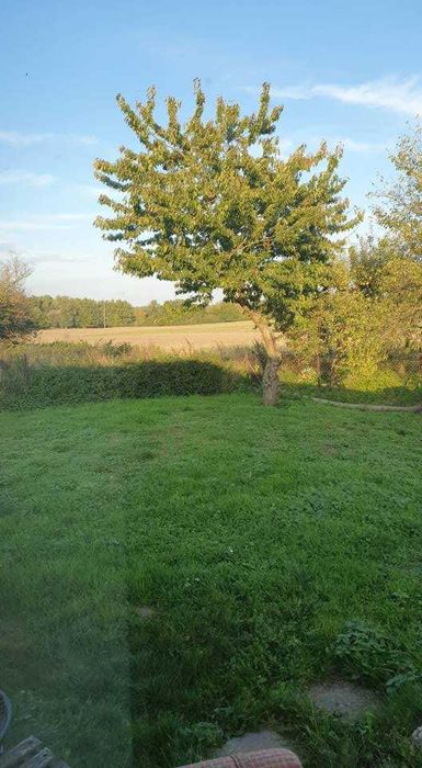 Budynek handlowy usługowy lub mieszkalny 73 m² + działka 7,7 ar