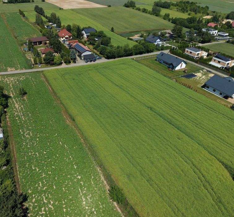 działka budowlana w Panieńszczyźnie - Widok 2