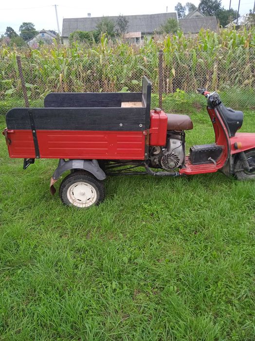 Муравей  з документами все перебране