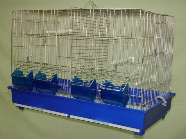 Roseicollis domésticados  Selvagens