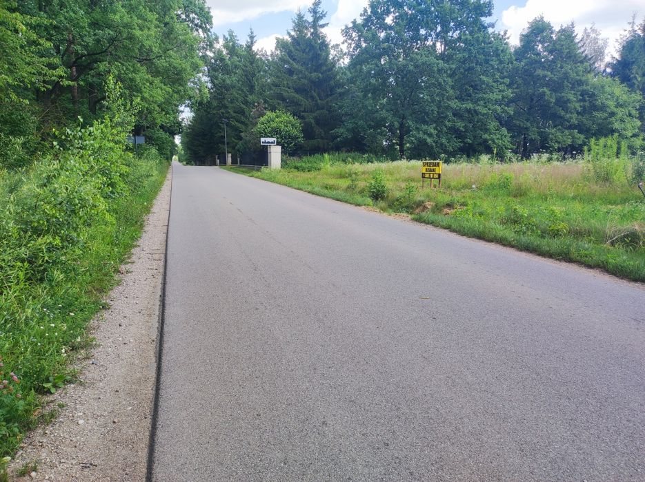 Zdjęcie 8