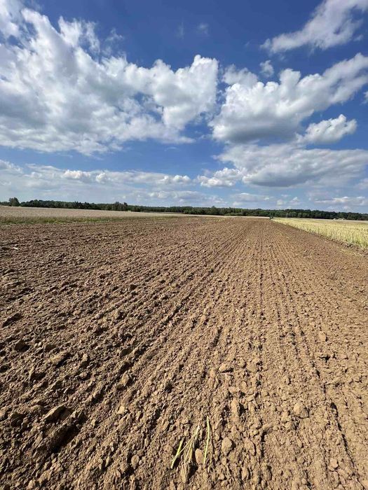 Lemken Juwel 8 Vario 6 корпусний