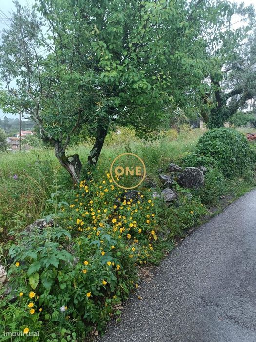Terreno na Ameixeira – Condeixa-a-Nova — Condeixa-A-Velha E Condeixa-A-Nova, Coimbra