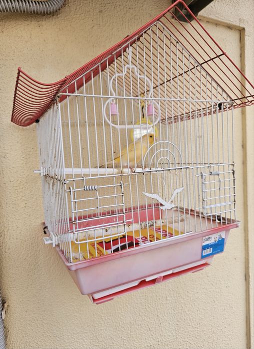 Gaiola de pássaros