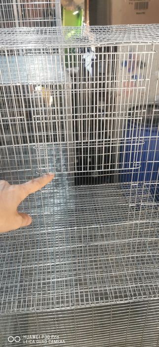Gaiolas galvanizadas