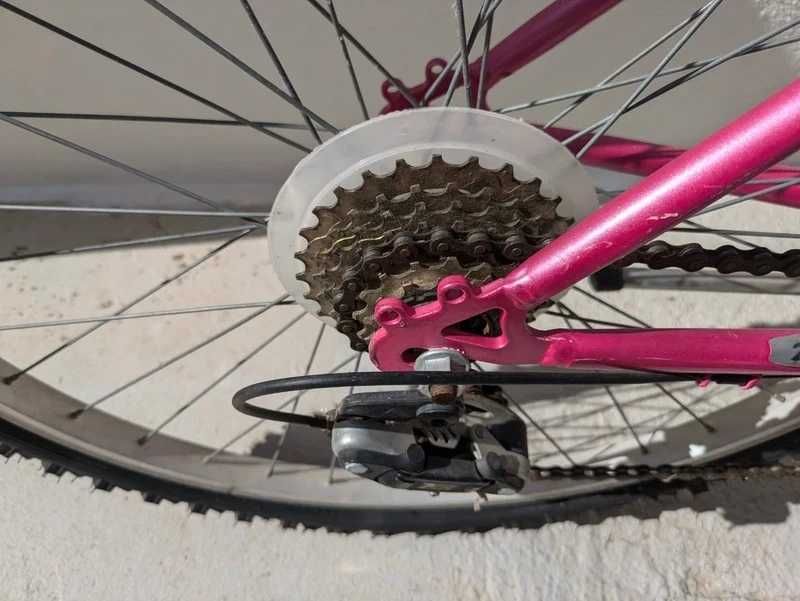 Bicicleta Lilás