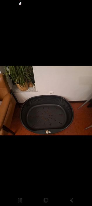 Cama para cão de porte medio
