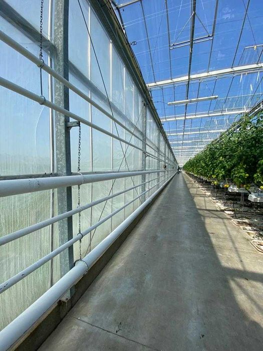 Теплиця типу Венло 1,7 га (плівка, теплиця, труби, Венло)