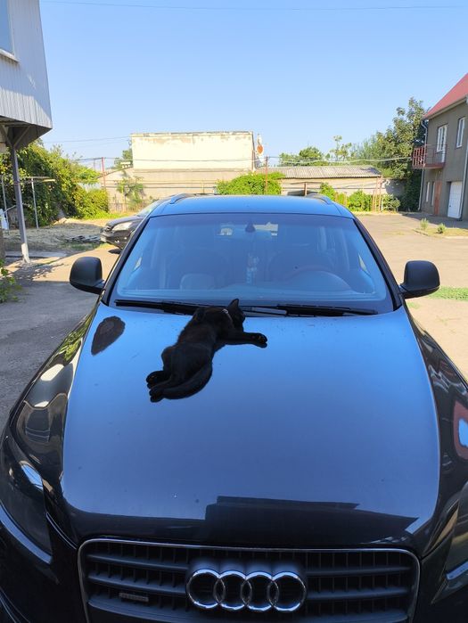 Авуді 2007 , 3л дизель