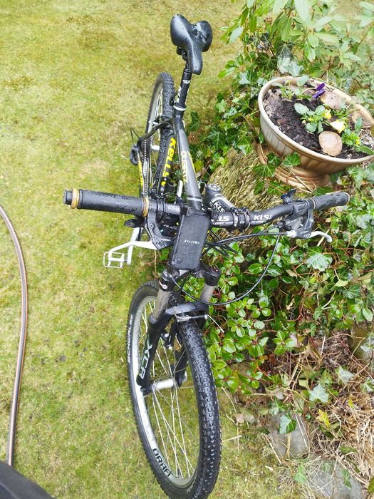 Rower damski Kellys Quartz Black