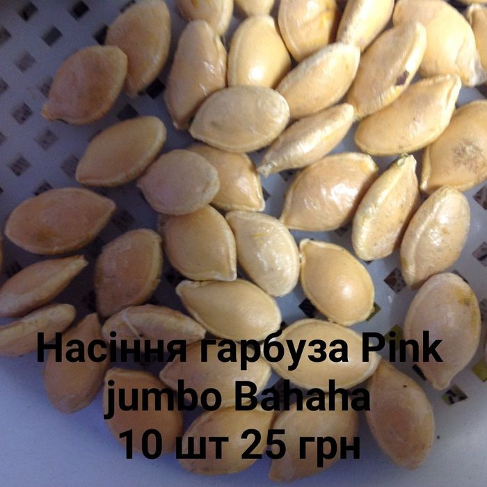 насіння гарбузові, картопля.кукурудза для попкорму.