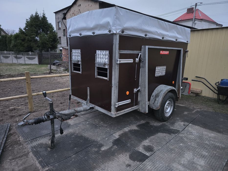 Przyczepa do przewozu zwierząt, Kucy, Alpak, Owiec 1400 kg DMC