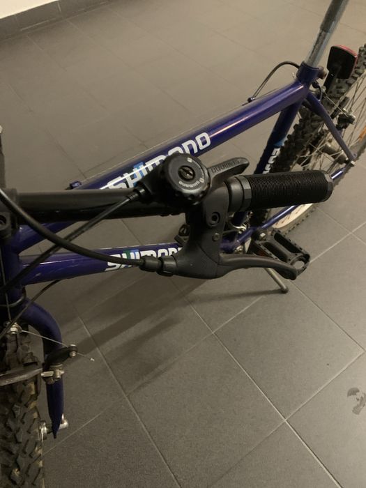 Biciclrta adulto
