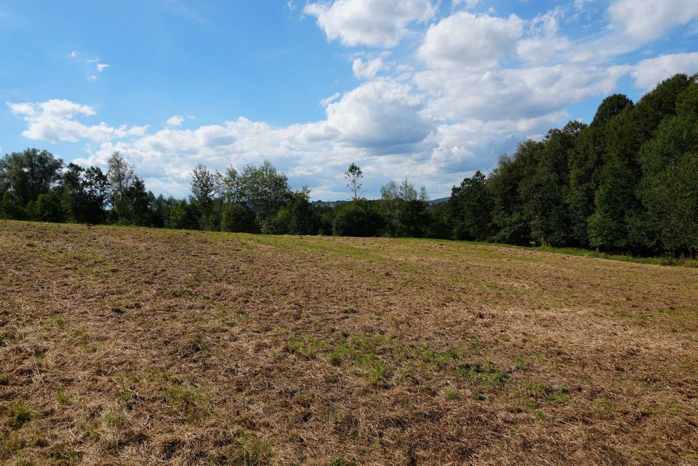 Działka lub działki budowlane Głogczów 8 arów