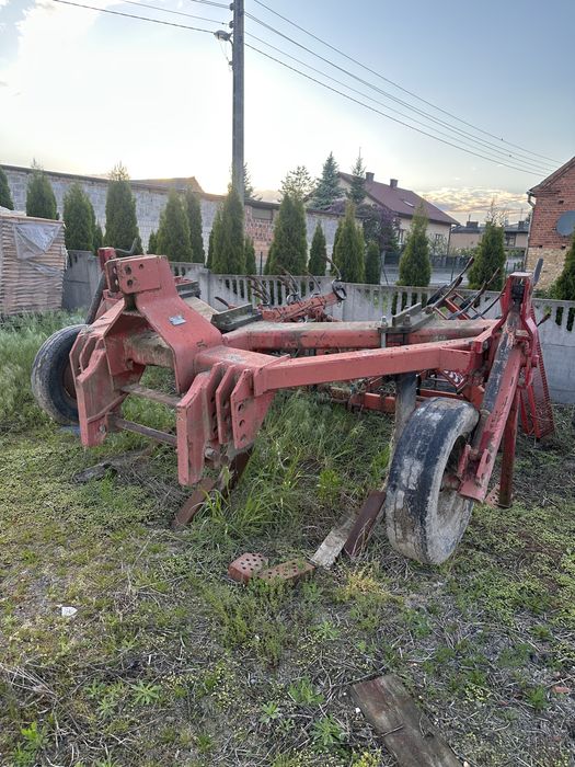 Głębosz na 4 łapy