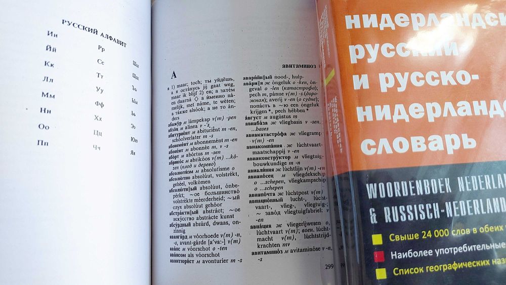 Нидерландско русский и русско нидерландский средний словарь  Дренясова