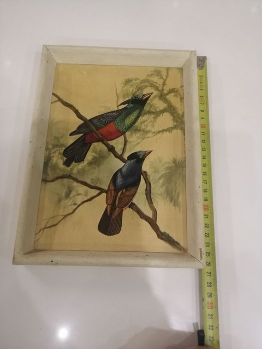 Quadros vintage 2423648105543116806