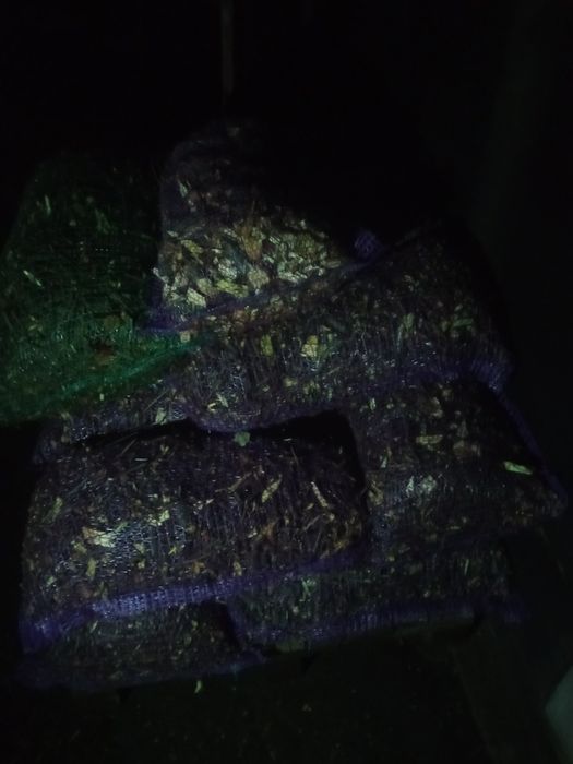 Продам щепу дешево
