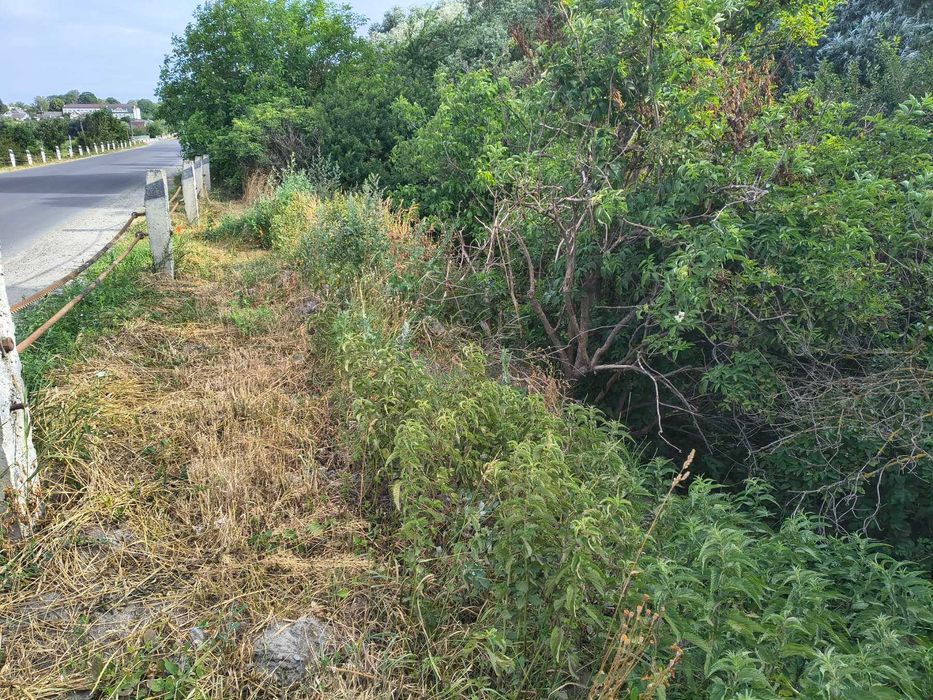 Земельна ділянка, площею 0,5000 га,  Тернопільська обл.