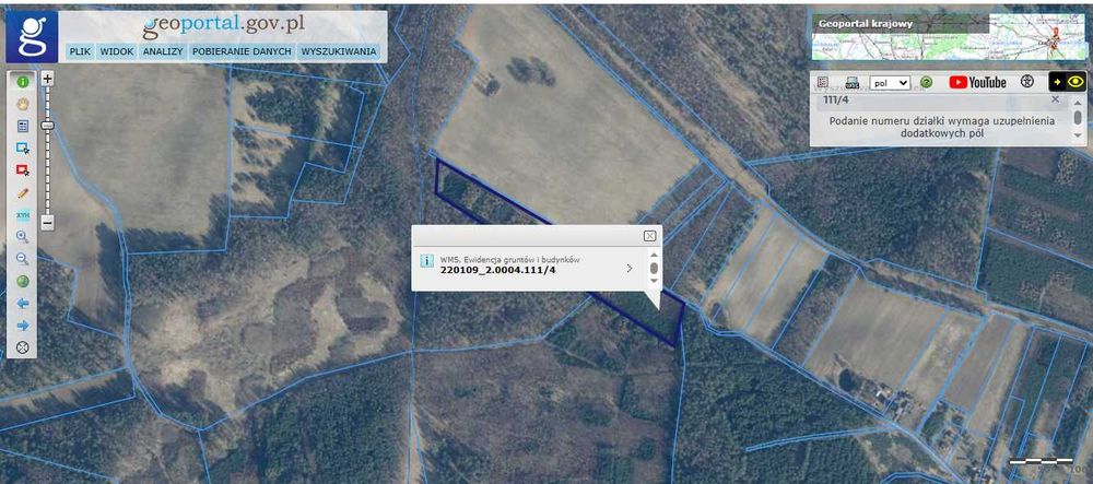 Sprzedam las 7,81 ha Gumieniec - Widok 2