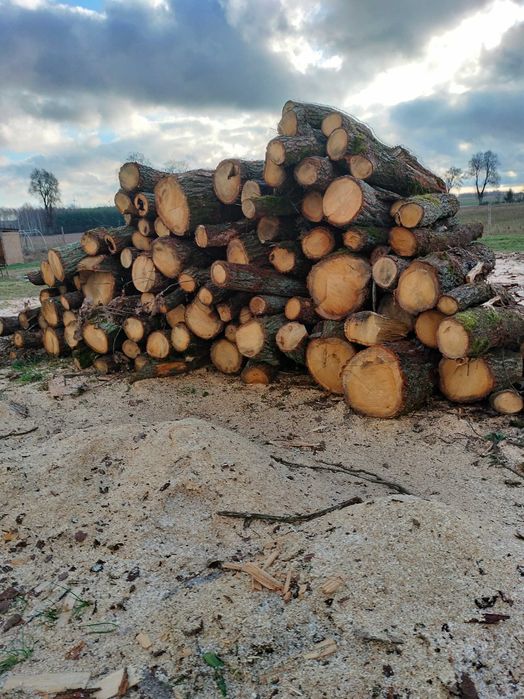 Drewno kominkowe i opałowe