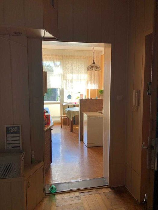 Mieszkanie dla pracowników, bez prowizji
