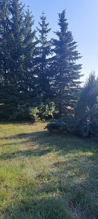 Działka rekreacyjna okolice Ldzania
