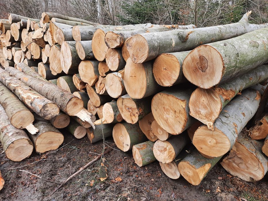 Drewno suche kominkowe opałowe sezonowane